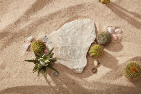 Téléchargez les photos : Une pierre cassée exposée sur fond de sable avec certains types de cactus. Espace vide pour le produit ou une bonne promotion - en image libre de droit