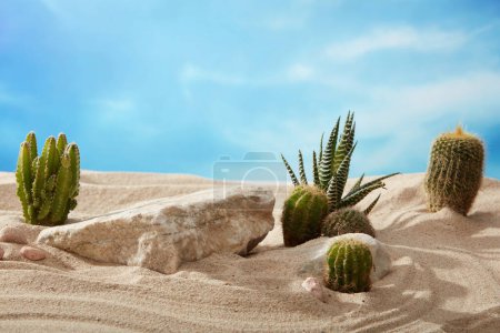 Photo for Concept of natural scene with a big block of stone, green Cacti and gravels over the sand. Beautiful blue sky background - Royalty Free Image