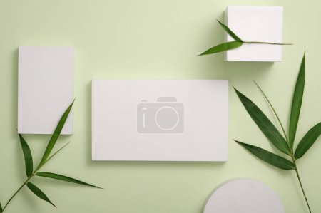 Téléchargez les photos : Fond abstrait pour l'image de marque et présentation minimale avec des feuilles de bambou. Podiums géométriques blancs décorés sur fond vert clair. Espace pour le design. Vue du dessus - en image libre de droit