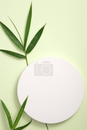 Photo for Top view of round white podium displayed on green background with green bamboo leaves. Abstract background with minimalist style for product brand presentation. Natural concept - Royalty Free Image