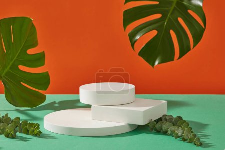 Minimal creative background for cosmetics or products presentation with natural leaves. Stacked of white geometric podiums and green leaves displayed on orange background. Front view