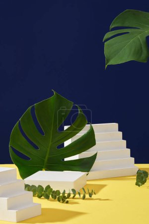 Foto de Rectangular podio vacío y escaleras blancas decoradas con hojas de monstera de selva verde sobre un fondo azul oscuro. Espacio para el diseño, la publicidad y la marca de productos cosméticos - Imagen libre de derechos
