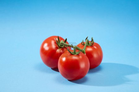 Photo for Front view of three juicy red ripe tomatoes (Solanum lycopersicum) with green stems on a blue background. Tomatoes have a lot of nutrients that are good for health - Royalty Free Image