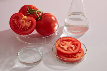 Frische Tomaten und Tomaten in Scheiben geschnitten auf Petrischale auf weißem Hintergrund mit Laborgeräten dargestellt. Leere zylindrische Plattform für Kosmetika aus Tomatenextrakt.