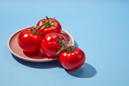 Hintergrund für die Präsentation von Kosmetikprodukten mit Tomatenbestandteil. Einige reife frische Tomaten auf einem runden Teller vor blauem Hintergrund. Leerraum für Design