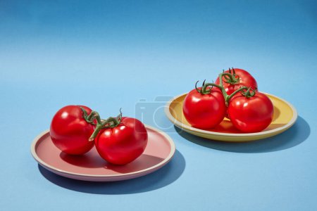 Szene für die Werbung für kosmetische Produkte aus Tomatenextrakt - runde Platte mit roten frischen Tomaten auf blauem Hintergrund. Tomaten haben viele Nährstoffe, die gut für die Gesundheit sind