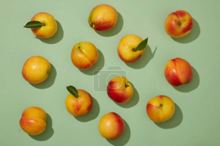 Photo for Top down flat lay colorful shot with fresh ripe peaches (prunus persica) on pastel green background. Minimal scene for advertising product with peach ingredient. - Royalty Free Image
