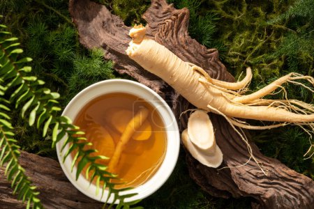 Wild Ginseng has been used in best traditional medicine. Fresh ginseng root and bowl filled tonic water on brown twig on green moss background. Foreground foreground is a natural green fern leaf