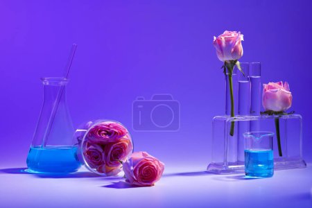 Téléchargez les photos : Thème de laboratoire avec verrerie de laboratoire - erlenmeyer flasque, bécher et éprouvette remplis de liquide bleu et roses fraîches disposées sur fond bleu. Espace d'affichage des produits, publicité cosmétique - en image libre de droit