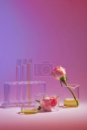 Téléchargez les photos : Vue de face de l'équipement de laboratoire rempli de roses liquides et fraîches décorées sur fond de couleur. L'huile essentielle de rose est un ingrédient commun dans de nombreuses préparations cosmétiques pour le visage. Photo publicitaire - en image libre de droit