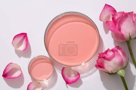 Foto de Vista superior de placas de Petri rellenas de líquido rosa, rosa fresca y pétalos de rosa decoran sobre fondo blanco. Concepto de cosmética orgánica vegana, extracto de rosa - Imagen libre de derechos