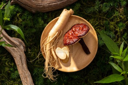 Scene for advertising product with herbal medicine ingredient. Ginseng root and reishi mushrooms on round wooden, twigs and leaves on green moss background.