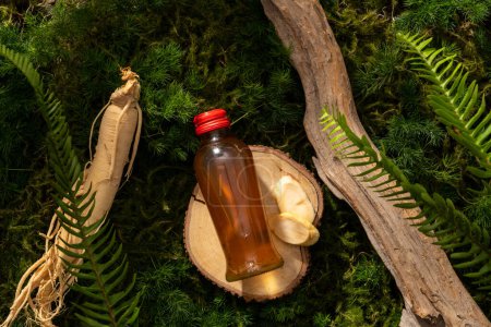 Natural concept for advertising product with herbal medicine. A glass bottle unlabeled on wooden podium, ginseng root and twigs on moss background. Space for design.