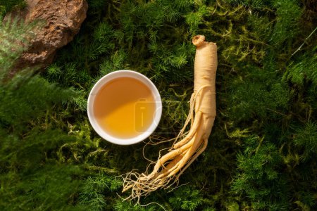Photo for Top view of a ginseng root on green moss background. Beside is an bowl containing yellow liquid. Natural concept for advertising product from traditional medicine at Korean - Royalty Free Image