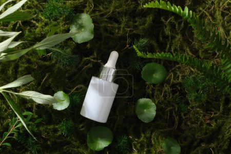 A white serum bottle with pipette unlabeled placed on forest background with moss, centella, fern and green leaf. Natural organic cosmetic concept. Mockup, space for design