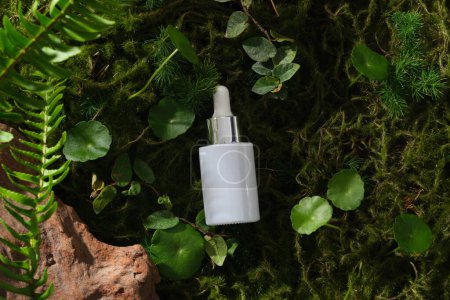 Foto de Botella de suero sobre fondo forestal con piedra, helecho, centella y hojas verdes. Mockup, foto publicitaria para cosmética de extracto natural. Espacio para el diseño - Imagen libre de derechos