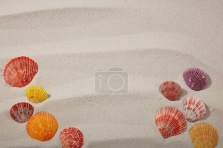 Photo for Top view of colorful seashells are arranged on a smooth sand background. Blank space for text or design. Summer beach or sea concept - Royalty Free Image