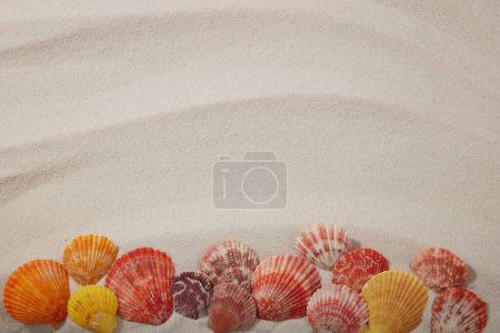 Foto de Hermoso fondo de playa de arena con algunas conchas marinas coloridas decoradas en arena lisa. Marco con espacio vacío para texto y diseño - Imagen libre de derechos