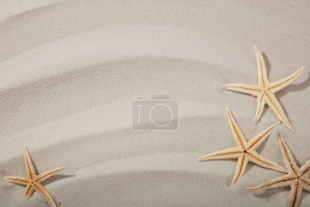 Téléchargez les photos : Vacances d'été et maquettes de sable de beauté avec des étoiles de mer et une vague de sable beige. Vue du dessus et espace de copie - en image libre de droit
