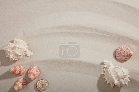 Photo for Top view of collection of beautiful seashells decorated on beige smooth sand background. In the middle is space for text and design - Royalty Free Image