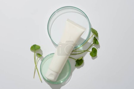 Vue de dessus d'un tube en plastique blanc contenant un hydratant ou un nettoyant pour le visage placé sur une boîte de Pétri et des feuilles de gotu kola sur fond blanc. Espace pour le design