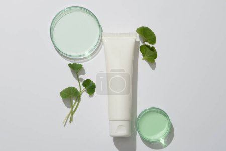 Photo for An unbranded plastic tube decorated with gotu kola leaves and petri dish on white background. Copy space. Mockup for design, organic cosmetics, beauty products concept - Royalty Free Image
