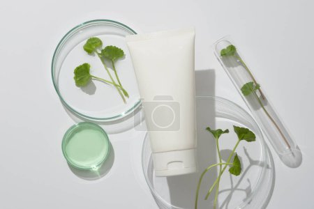 Scène de maquette pour cosmétique d'extrait de gotu kola avec bouteille en plastique blanc non étiquetée affichée sur fond blanc avec verrerie de laboratoire et feuilles de gotu kola. Espace pour le design