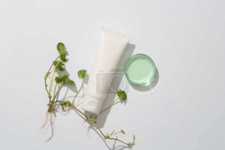 Photo for On white background, leaves, stems and roots of gotu kola decorated with petri dish and white plastic tube unlabeled. Mockup for cosmetic from natural ingredient - gotu kola. - Royalty Free Image