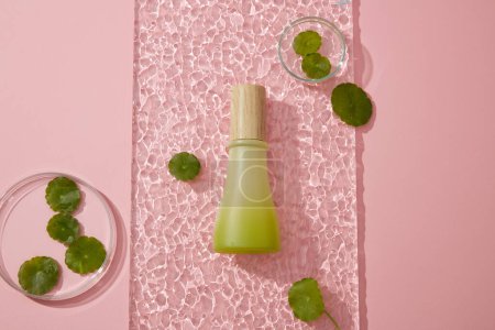 Photo for Minimal scene for advertising cosmetics - green bottle unlabeled on transparent acrylic sheet decorated with gotu kola leaves and petri dish on pink background. Natural extract for beauty - Royalty Free Image