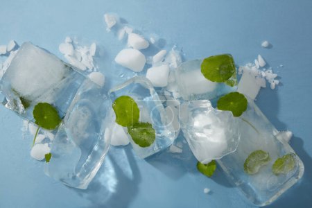 Foto de Hojas de gotu kola congeladas en cubitos de hielo que se muestran sobre fondo azul. Escena para la publicidad de productos cosméticos de gotu kola - ingredientes de extracto natural para el cuerpo y la cara. - Imagen libre de derechos