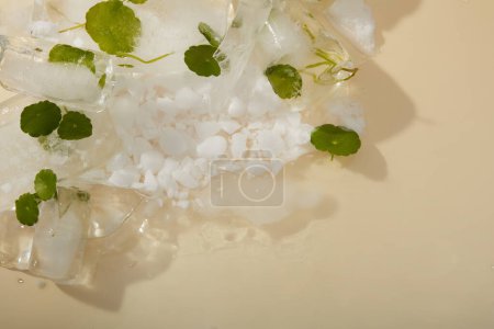 Photo for Advertising frame with ice cubes with frozen gotu kola leaves inside on beige background. Space for text and design.Homemade natural soothing ingredients perfect for sunburned skin - Royalty Free Image