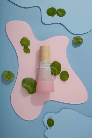 Top view of pink bottle decorated with gotu kola leaves and geometric acrylic sheet on blue background. Blank label for branding mockup, gotu kola extract for body and hair care