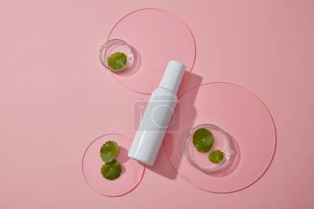 Photo for Top view of white bottle displayed on pink background with gotu kola in petri dish and acrylic sheets. Blank label for branding mockup, gotu kola extract, skincare beauty product concept. - Royalty Free Image