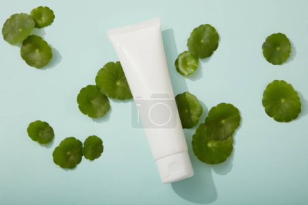 Photo for Minimal scene for cosmetic from gotu kola ingredient presentation - white plastic tube decorated with gotu kola leaves on blue background. Natural extract in cosmetic good for skin - Royalty Free Image