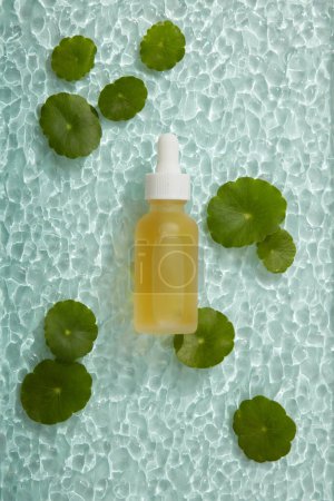 Photo for Mockup scene for cosmetic with glass bottle containing yellow liquid an dropper cap placed on ribbed acrylic sheet with gotu kola leaves. Advertising photo, organic beauty cosmetics concept - Royalty Free Image