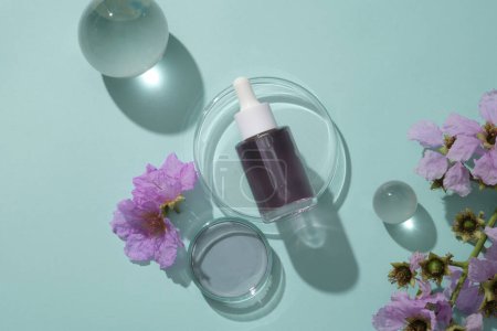 Concepto para promover la cosmética con flor de belleza - botella con tapón cuentagotas lleno de líquido púrpura en el podio transparente, bolas de vidrio y flores púrpuras decoradas sobre fondo azul.