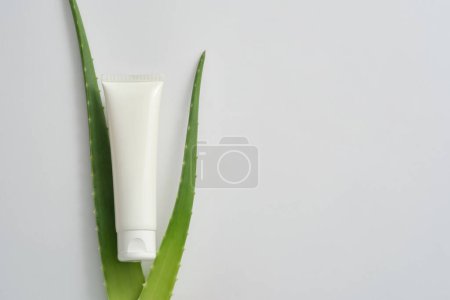 Foto de Tubo de plástico blanco sin etiqueta y hojas de aloe vera sobre fondo blanco. Mockup para el diseño, cosméticos orgánicos, concepto de productos de belleza. Espacio para texto - Imagen libre de derechos