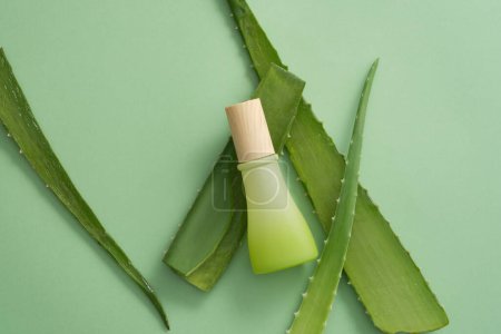 Top view of gradient green bottle with wooden cap and fresh aloe vera leaves decorated on green background. Mockup scene for cosmetics for body and hair care from natural ingredients.