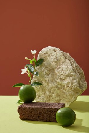 Blank background with dark stone podium, rock, fresh limes, tree branch with green leaves and white flower on color background. Space for cosmetic product presentation. Natural extract with vitamin C