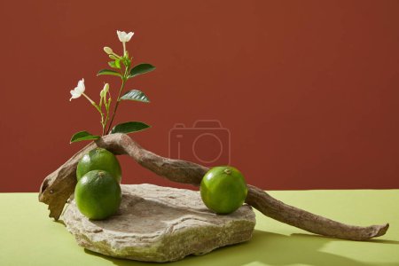 Minimal concept for beauty products with lime ingredients presentation with stone podium, flower branch, dry twig and fresh lime decorated on color background. Front view, copy space