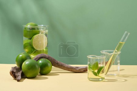 Front view of fresh limes, dried twig and lab glassware containing lime essential oil on green background. Advertising photo for cosmetic with ingredient from lime.
