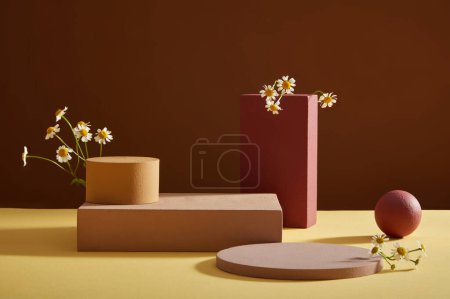 Abstrakter Hintergrund minimaler Stil für Produktwerbung mit leeren Podien, Geometrien und frischem Mutterkraut (Tanacetum parthenium) Platz für kosmetische Produkt-Attrappen mit Blume. Frontansicht.