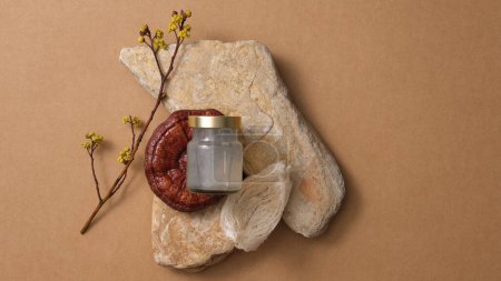 Szene-Attrappe für Produkt mit Vogelnest-Wasserflasche und rotem Reishi-Pilz (Ganoderma lucidum) auf Steinen, auf braunem Hintergrund. Ein Luxusfutter aus der Natur. Draufsicht, flache Lage.