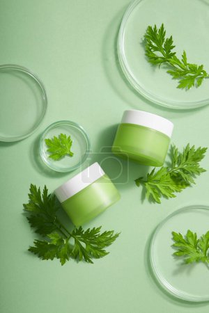 Two green glass bottles, mockup for cream jars containing moisturizers, masks or scrubs of wormwood extract. Fresh wormwood leaves decorated on transparent podiums and petri dish on green background.