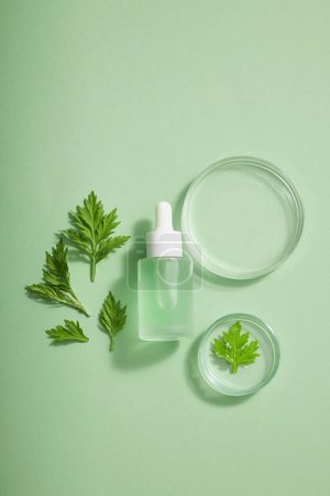 Mockup scene for cosmetic or serum product of wormwood extract with glass bottle unlabeled with dropper cap and fresh wormwood leaves decorated on light green background. Space for design.