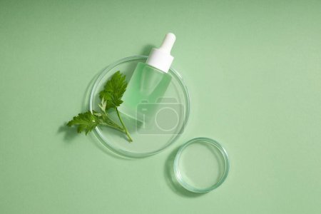 Top view of a glass bottle with dropper cap unlabeled and fresh wormwood leaves place on petri dish on green background. Mockup for cosmetic or serum product of wormwood extract. Copy space