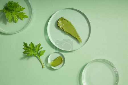 Green cream texture on transparent podiums, fresh wormwood leaves decorated on green background. Advertising photo for cosmetic of natural extract - wormwood. Copy space.