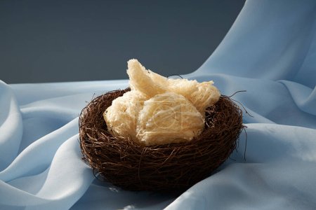 Front view of some edible bird nests on black nest, on pastel blue soft fabric background. Healthcare food, anti-aging, strengthen the immune system