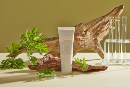 Mockup scene for cosmetic of mug-wort extract with dry twig, fresh mug-wort branch, plastic tube and lab glassware decorated on brown background. Nature ingredient for skincare, cosmetic content