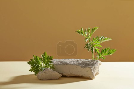 Photo for Front view of gray stone and fresh mug-wort branch decorated on brown background. Pedestal for cosmetic product and packaging mockups display presentation - which of mug-wort extract. - Royalty Free Image